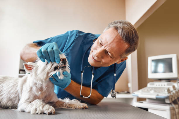 Best Walk-In Emergency Dentist in Glenmoor, OH